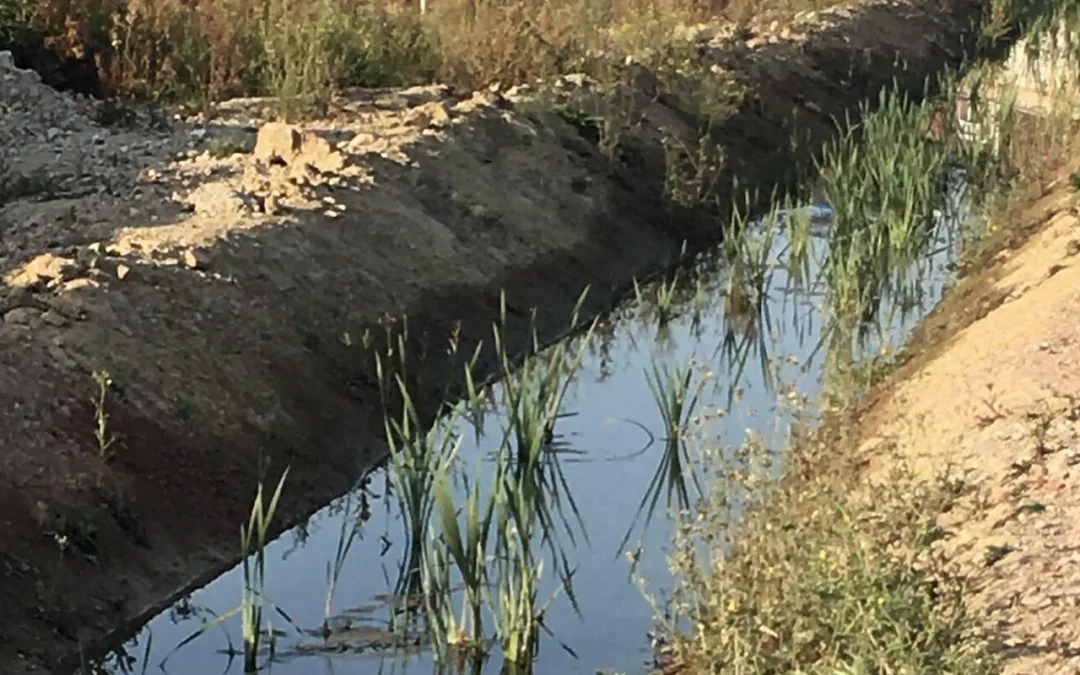 Hergebruik bemalingswater @ Minerve site